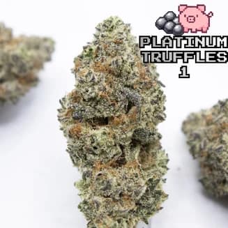 Platinum Truffles #1