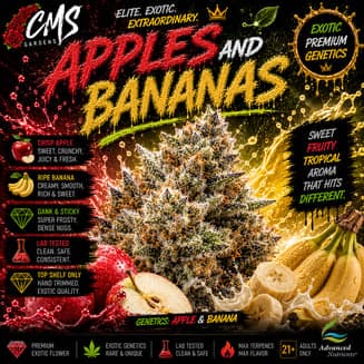 Apples & Bananas