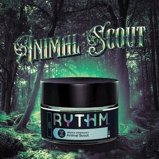 Animal Scout