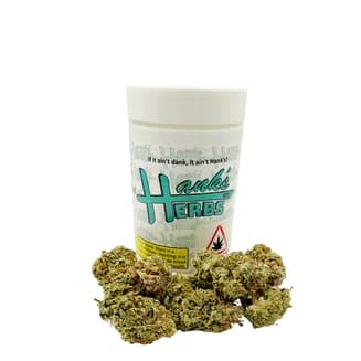 Doctor Zeus