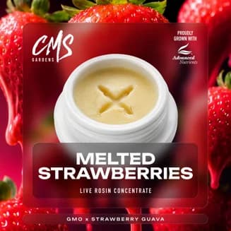 Melted Strawberries