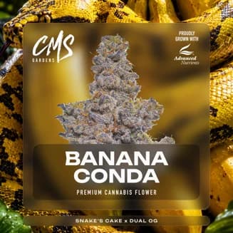 Bananaconda
