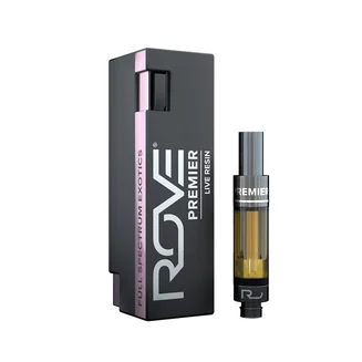 King Louis XIII - Cured Resin
