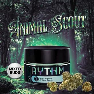 Animal Scout